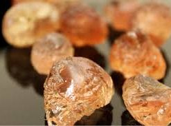 Natural Arabic Babul Gond/Gum, 50g