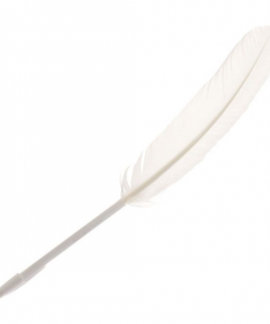 Feather Quill Pen