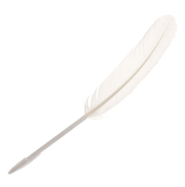 Feather Quill Pen
