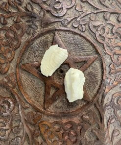 Shukra Mani Pair/Joda