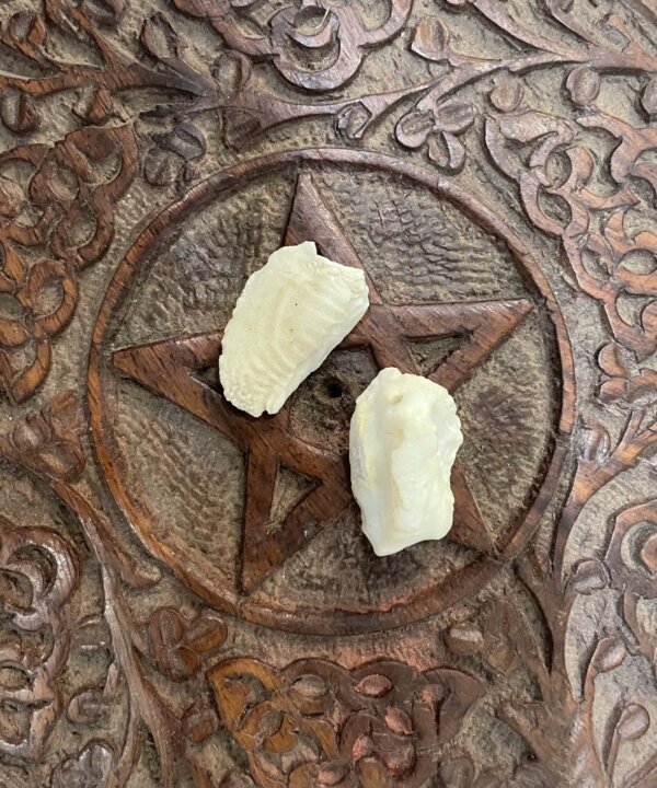 Shukra Mani Pair/Joda